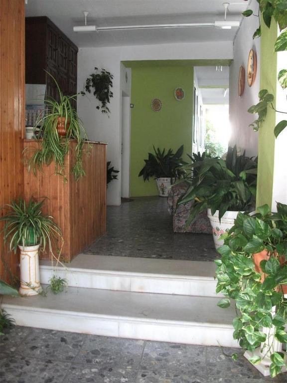 Alojamientos Casa Tejon Mijas Exterior photo